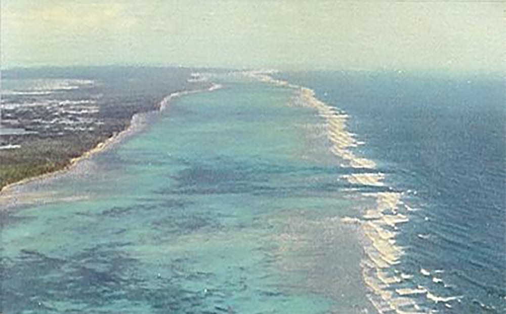 Belize Reef-optimized