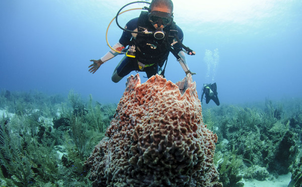 Ramons-Scuba-Diving-Website-Photo
