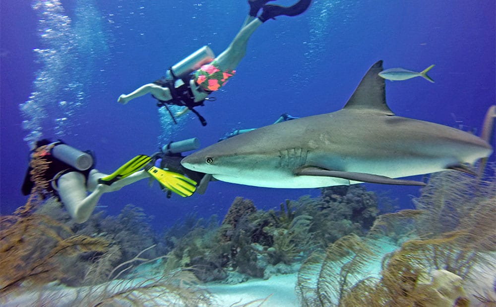 DCIM999GOPRO