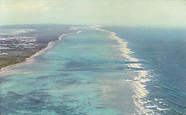 Belize Reef-optimized