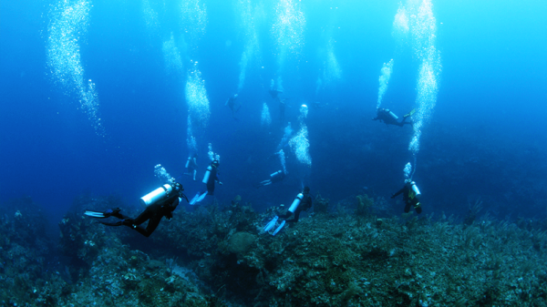 Ramon’s Village Resort – Diving Ramon's Village Resort - Diving