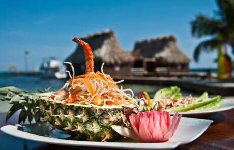 Ramon's Village Resort - Pineapples