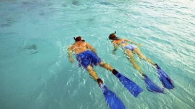 Ramon's Village Resort - Diving