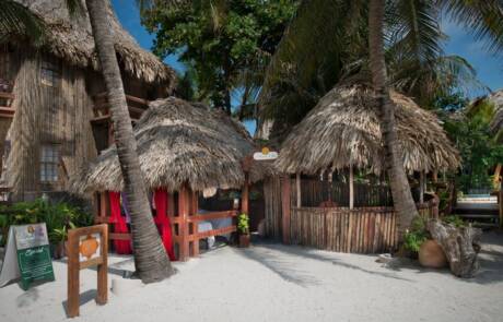Ramon's Village Resort - Spa